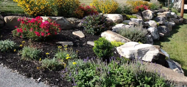 Meadow View Gardens Landscaping & Hardscaping Services, York, PA