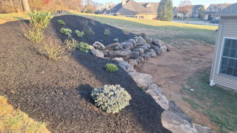 New hillside planting bed with black mulch, young shrubs and a boulder retaining wall in a York PA backyard.