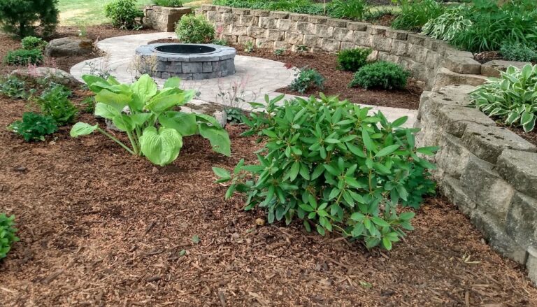 Backyard fire pit and paver patio bordered by shade plantings, flowering shrubs and fresh mulch beds along a stone retaining wall