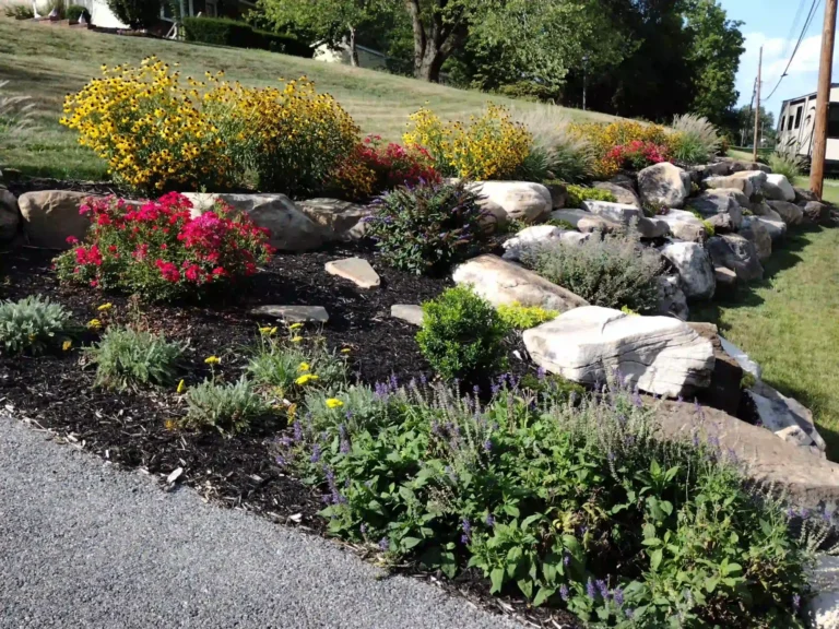 Terraced hillside boulder garden packed with colorful perennials, pink blooms and ornamental grasses along a driveway